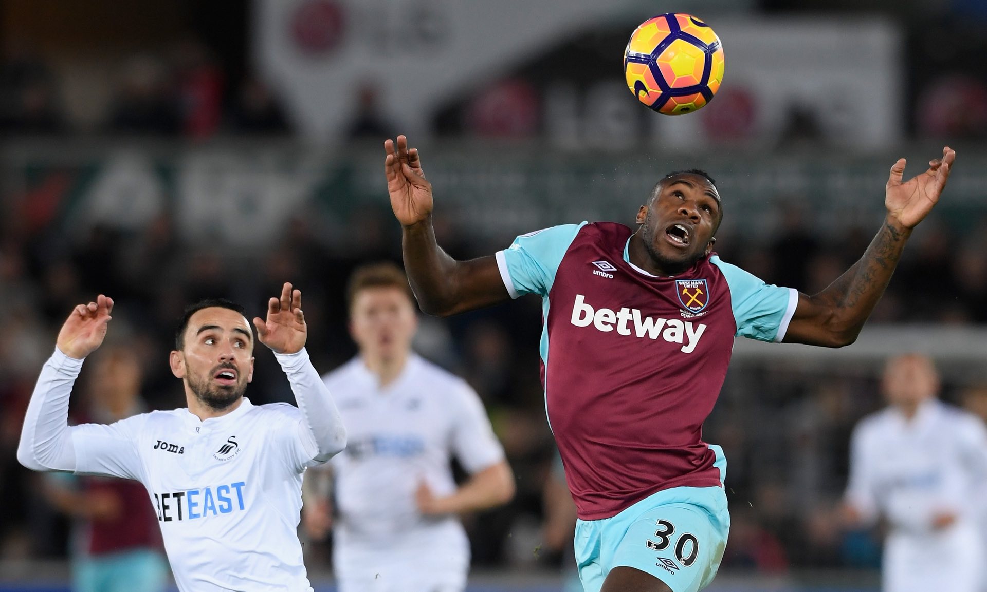 还为所属俱 还为所属俱